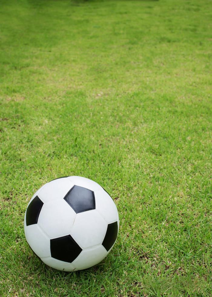 篮球比分下载应用界面展示